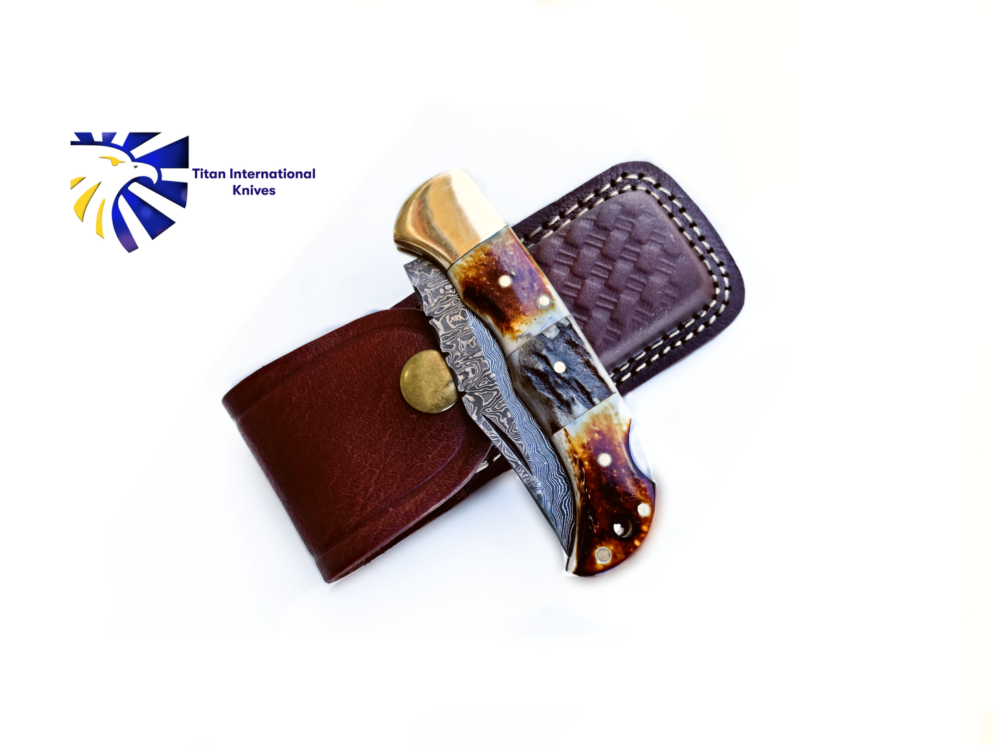 Titan International - Burnt Bone and Stag Horn folding knife with Leather Sheath