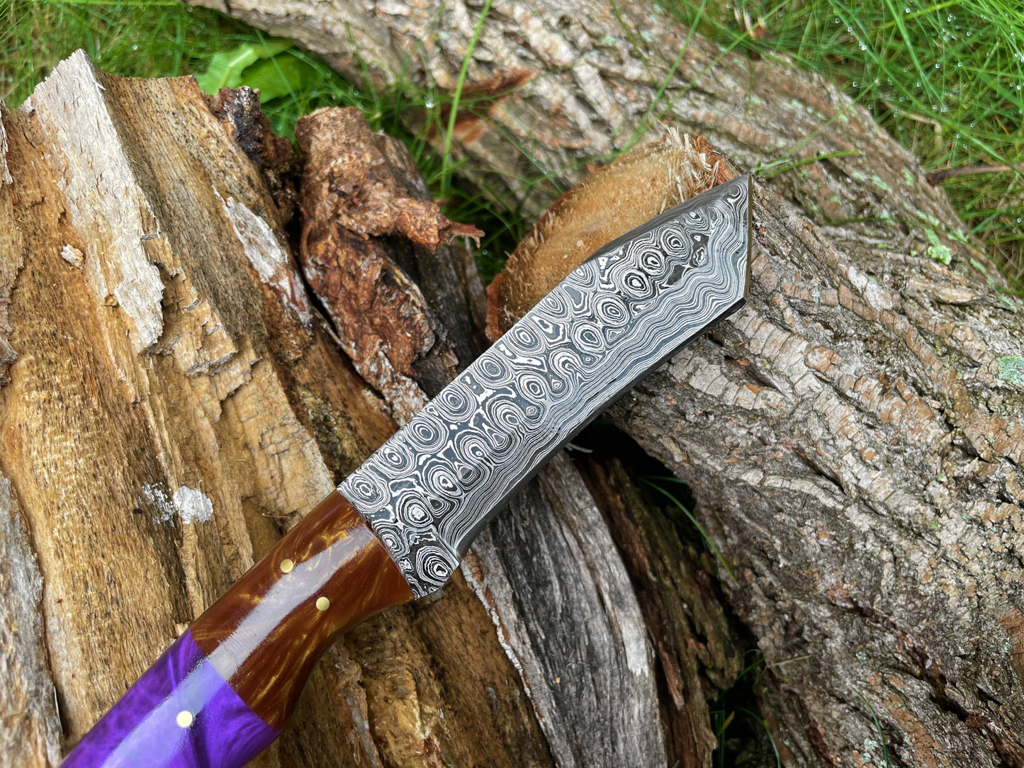 Titan International - Titan Damascus Steel Everyday Utility Knife TK-117