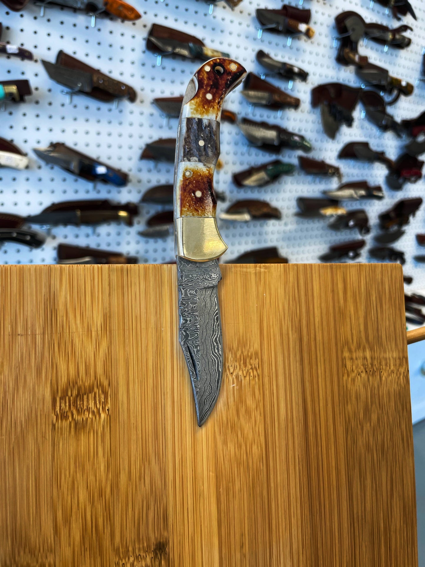 Titan International - Burnt Bone and Stag Horn folding knife with Leather Sheath