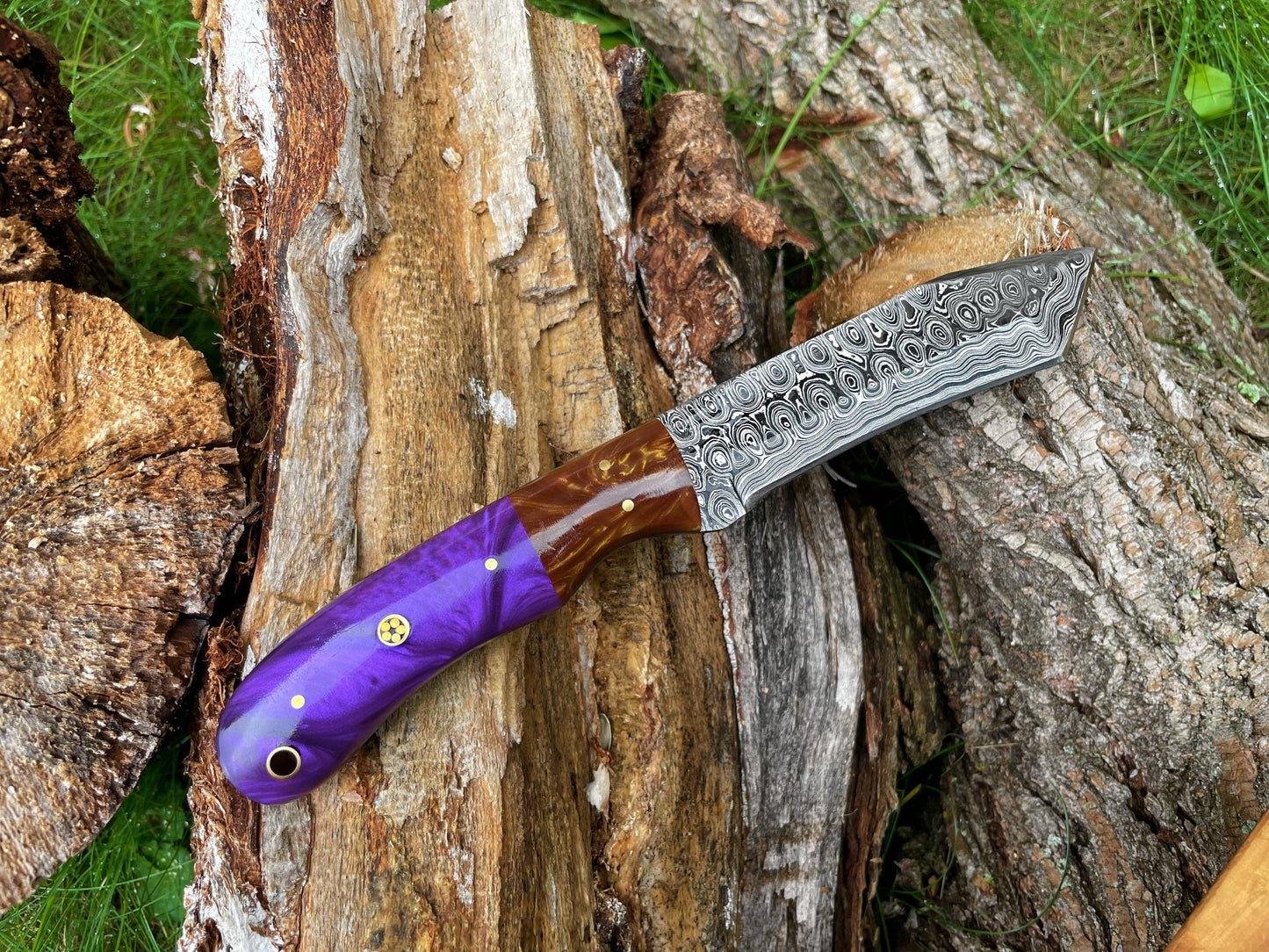 Titan International - Titan Damascus Steel Everyday Utility Knife TK-117