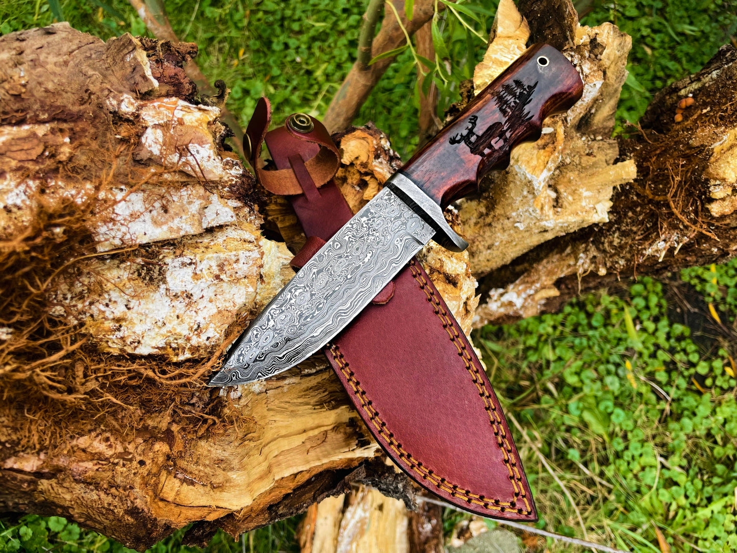 Titan International - A.3 Damascus Steel Hunting Knife Buck Engraved Walnut Scales