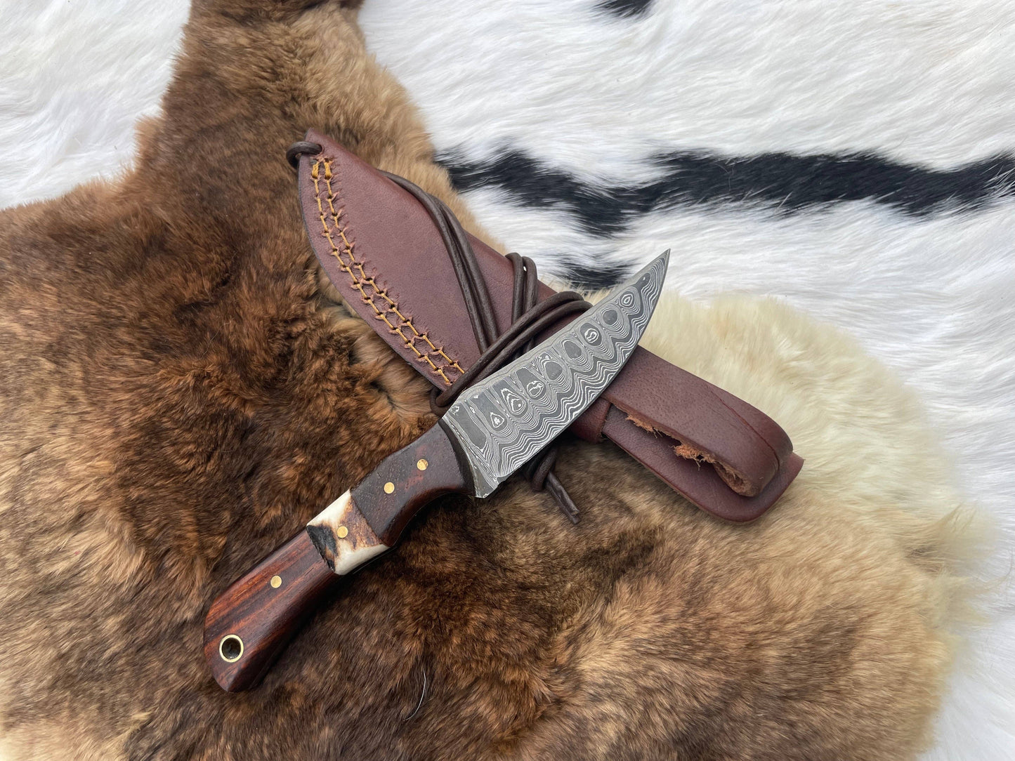 Titan International - Introducing the Titan TK-060 Damascus Steel Skinner Knife with Rosewood & Stag Grip