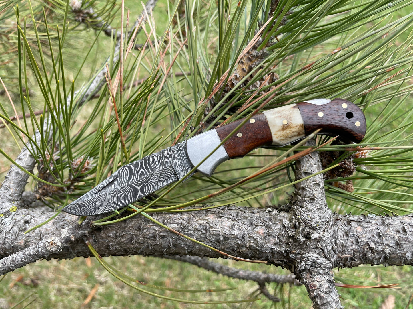 Titan International - POCKET KNIFE WALNUT WOOD & STAG 6.5'' DAMASCUS STEEL TF-019