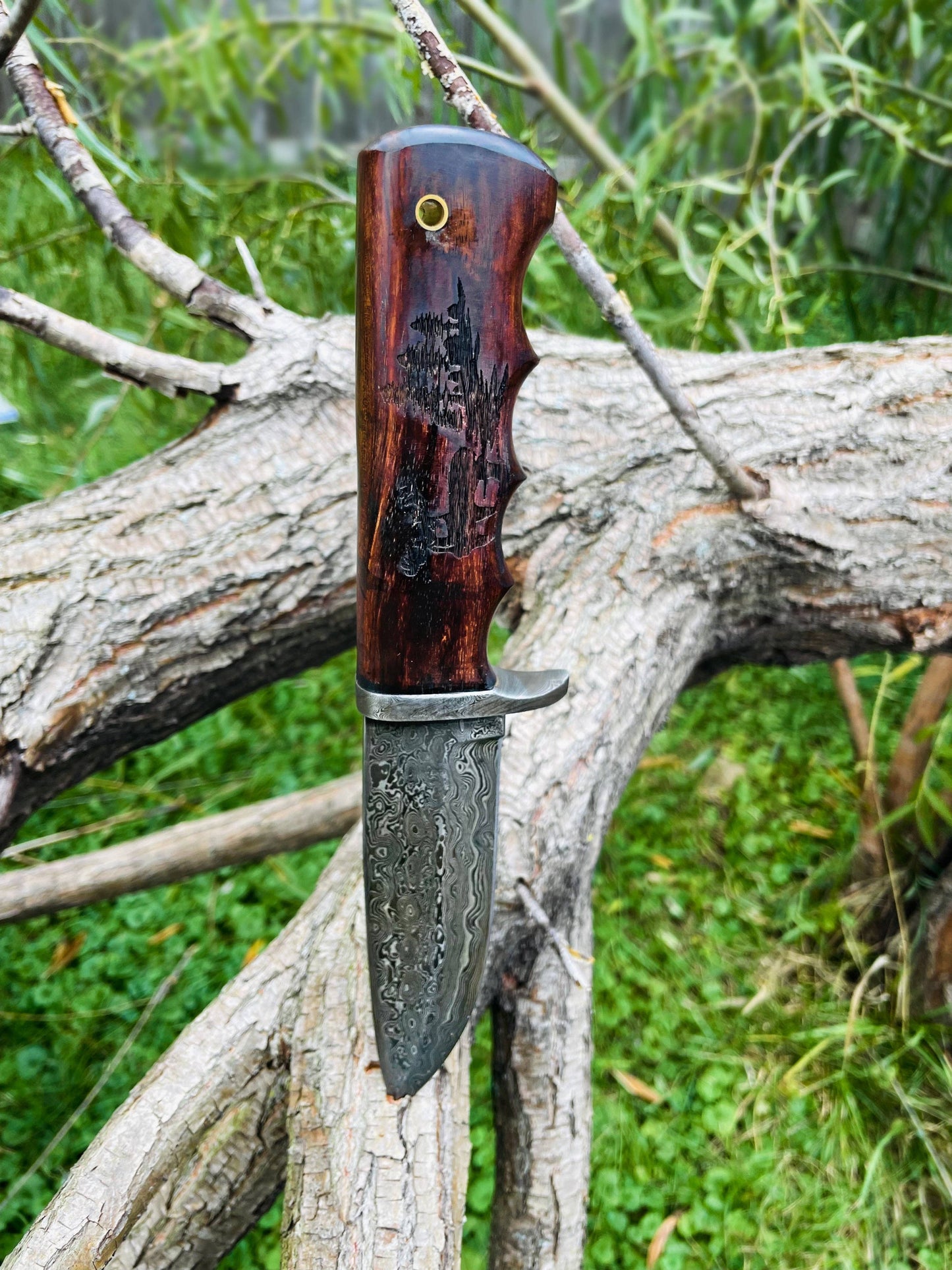 Titan International - A.3 Damascus Steel Hunting Knife Buck Engraved Walnut Scales