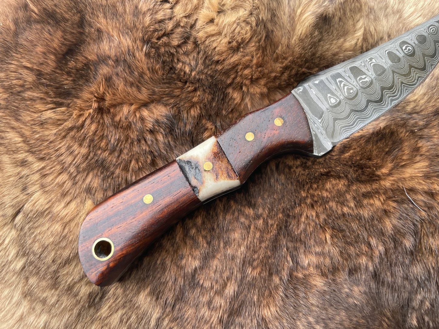 Titan International - Introducing the Titan TK-060 Damascus Steel Skinner Knife with Rosewood & Stag Grip