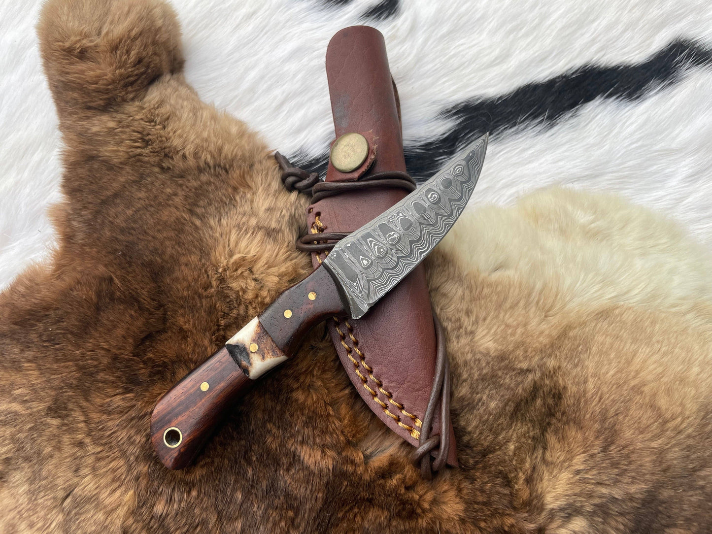 Titan International - Introducing the Titan TK-060 Damascus Steel Skinner Knife with Rosewood & Stag Grip