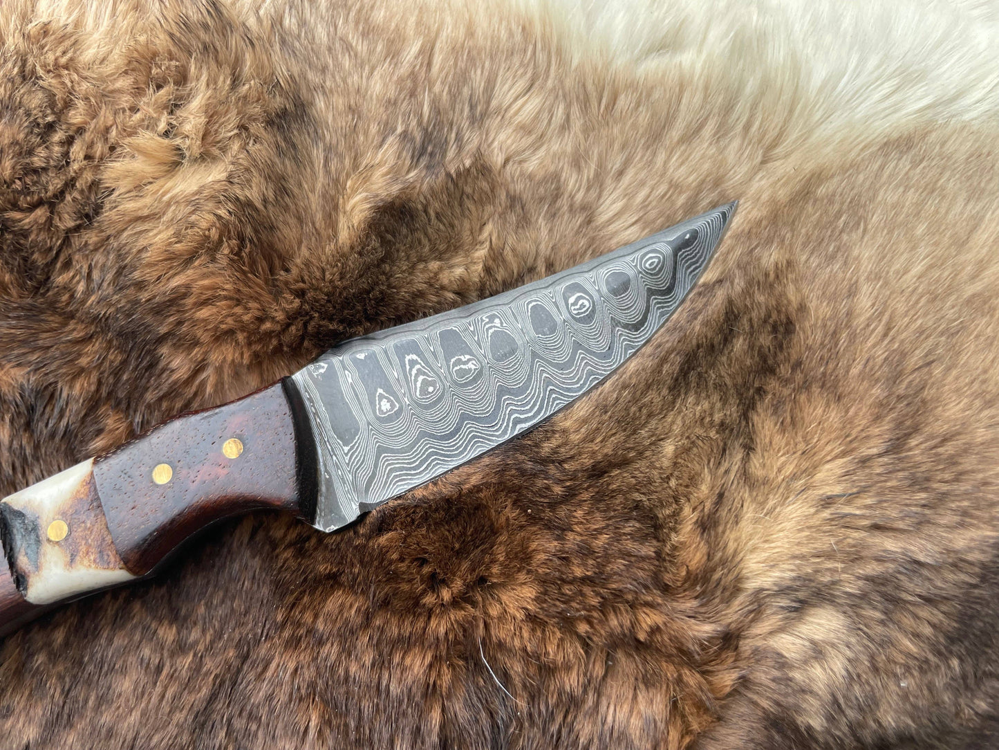 Titan International - Introducing the Titan TK-060 Damascus Steel Skinner Knife with Rosewood & Stag Grip