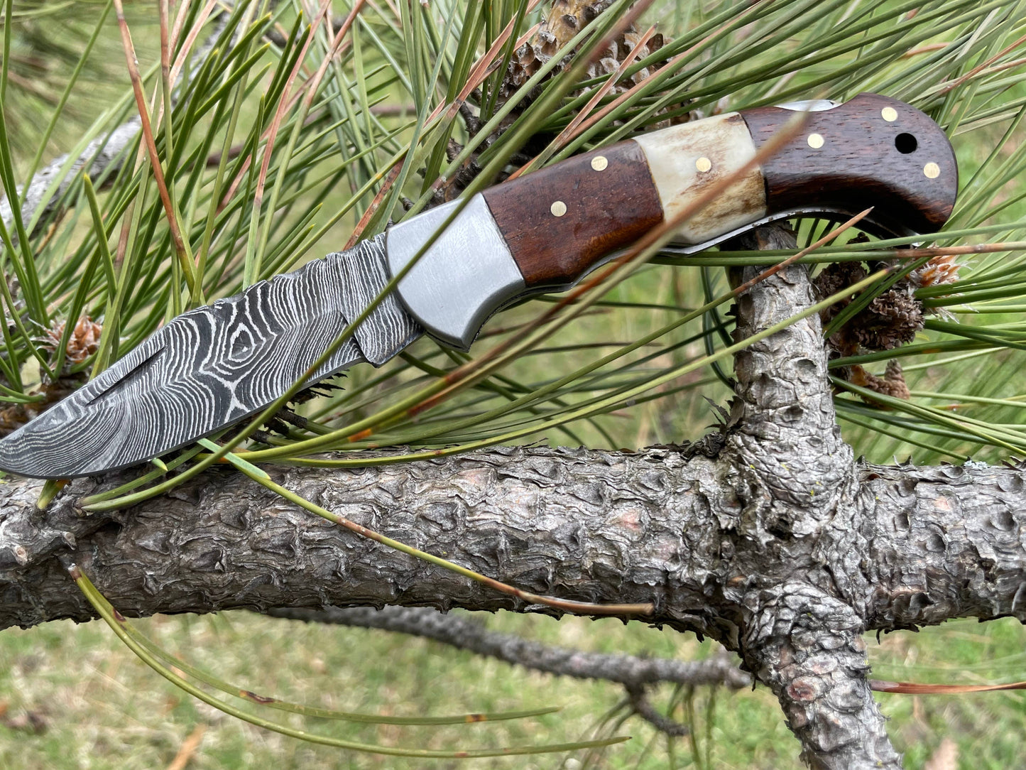 Titan International - POCKET KNIFE WALNUT WOOD & STAG 6.5'' DAMASCUS STEEL TF-019